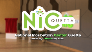 Incubation