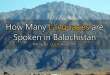 languages spoken in balochistan