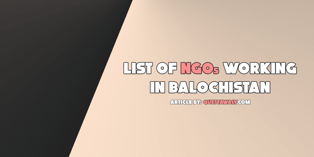 list of ngos working in balochistan