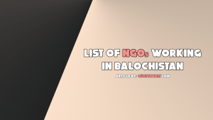 list of ngos working in balochistan