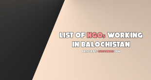 list of ngos working in balochistan