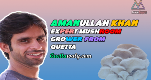 Amanullah Khan Expert Mushroom Grower from Quetta