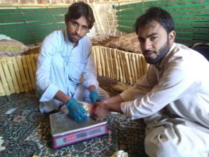 Amanullah Khan Mushroom Firm Owner Quetta