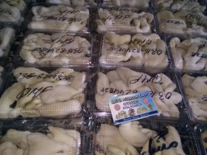 Quetta Mushroom Firm
