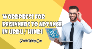 WordPress For Beginners To Advance in Urdu/Hindi