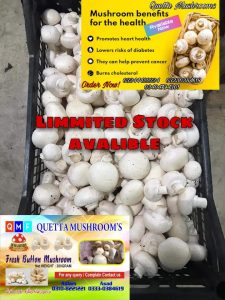 Quetta's Fresh Button Mushrooms