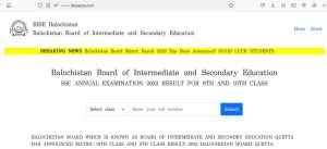 SSC ANNUAL EXAMINATION 2022 RESULT FOR 9TH AND 10TH CLASS