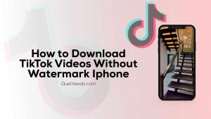 How to Download TikTok Videos Without Watermark iPhone