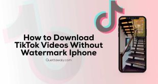 How to Download TikTok Videos Without Watermark iPhone