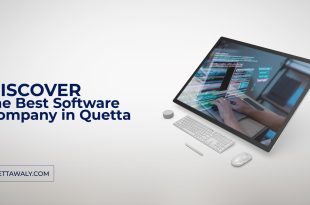 Discover Best Software Company in Quetta